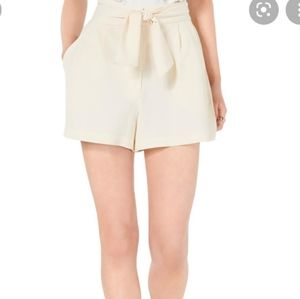 Linen Paper Bag pleated shorts side zip size 2 Cremieux